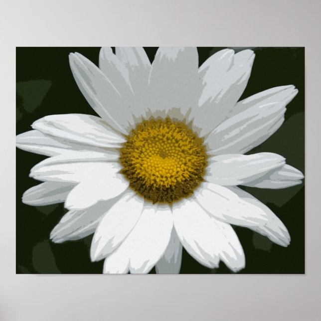 Poster Marguerite blanche simple (Devant)