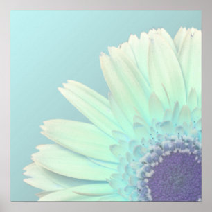 Poster Marguerite de Gerbera