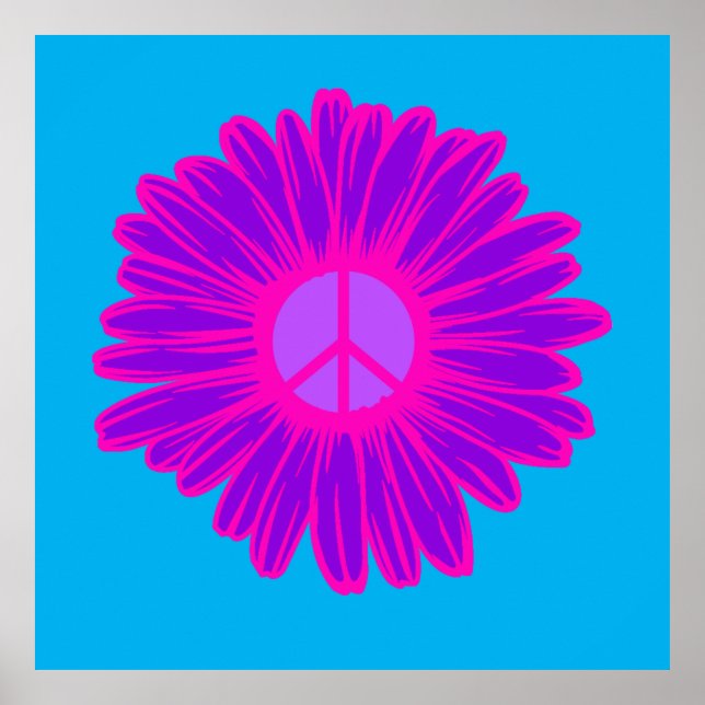 Poster Marguerite De Paix Rose Et Violet (Devant)