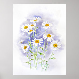 Poster Marguerite marguerite peinte à la main aquarelle