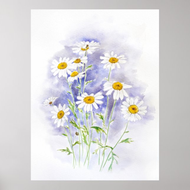 Poster Marguerite marguerite peinte à la main aquarelle (Devant)