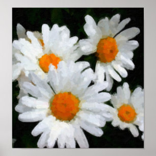 Poster Marguerites