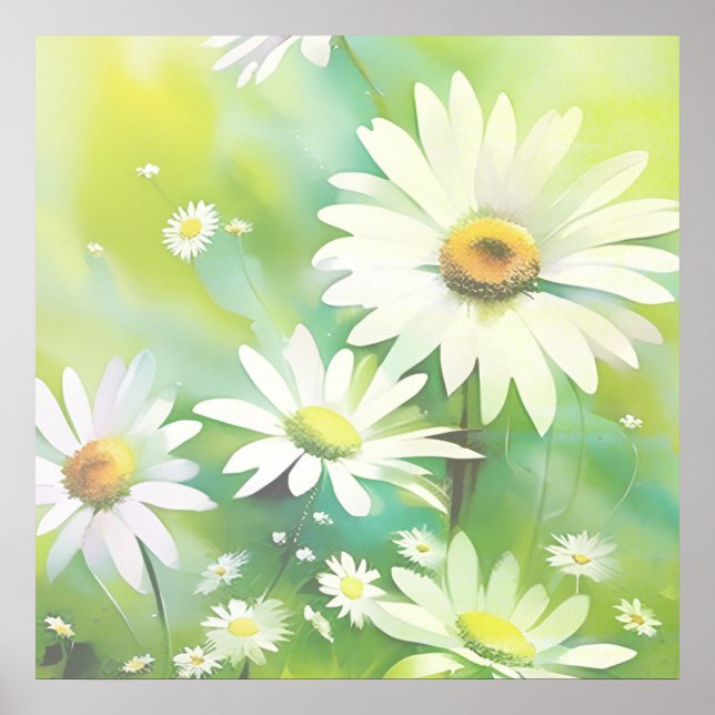 Poster Marguerites blanches (Devant)