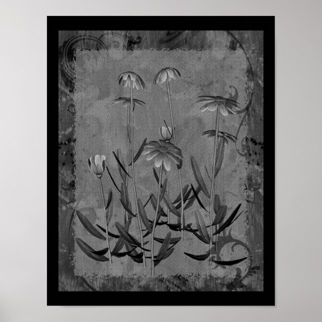 Poster Marguerites encadrées Noir Et Blanc Art Floral (Devant)