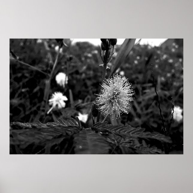 Poster Maria fecha a porta  - dark (Vorne)