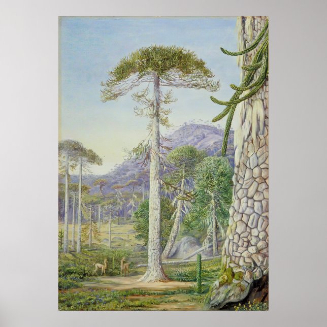 Poster Marianne Nord - Paysage exotique II (Devant)