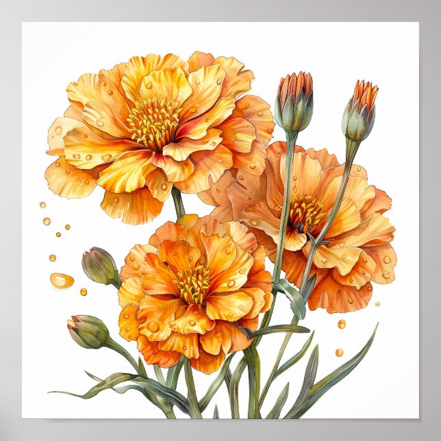 Poster Marigold Print, Orange Flowers Wall Art (Devant)
