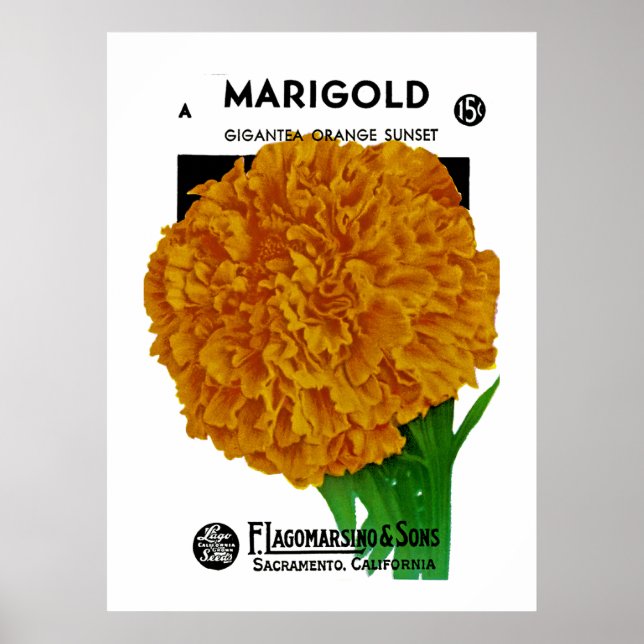 Poster Marigold Vintage Seed Packet (Devant)