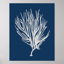 Marine Beach Décor Corail de mer Mur encadré art #