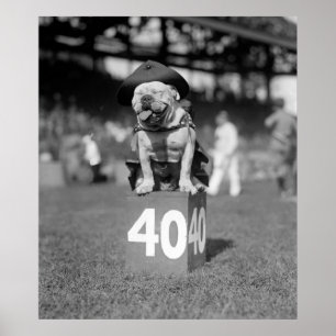 Poster Marine Corps Mascot Jiggs: 1923