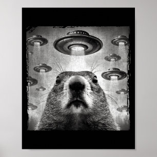 Poster Marmotte drôle selfie avec alien Ufos Marmotte D