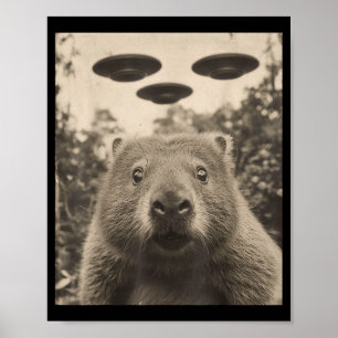 Poster Marmotte drôle selfie avec des ovnis Marmotte biza