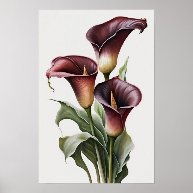 Poster Maroon Calla Lilies Lily Flower Art Imprimer Poste (Devant)