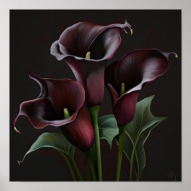 Poster Maroon Calla Lilies Lily Flower Art Imprimer Poste (Devant)