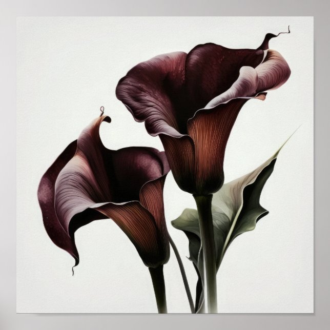 Poster Maroon Calla Lilies Lily Flower Art Imprimer Poste (Devant)