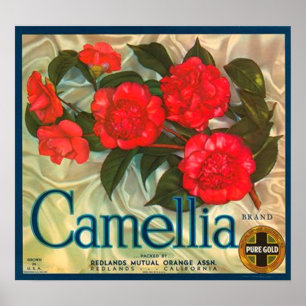 Poster Marque Camellia Oranges Étiquette