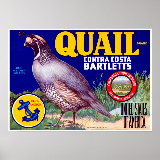 Poster Marque Quail Contra Costa Bartletts (Devant)