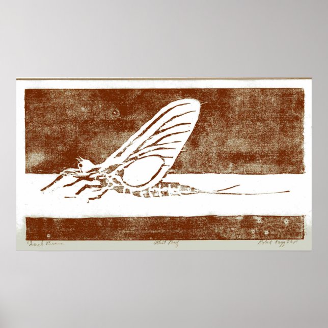 Poster Mars Brown mai vol (Devant)