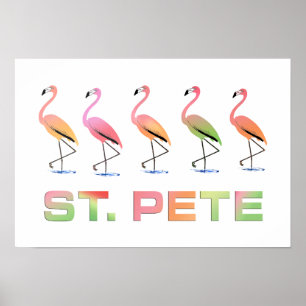 Poster Mars des Flamants roses tropicaux - St Peter