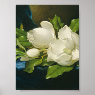 Poster Martin Johnson Heade - magnolias géantes