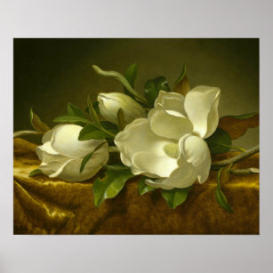 Poster Martin Johnson Heade - Magnolias sur Gold Velvet