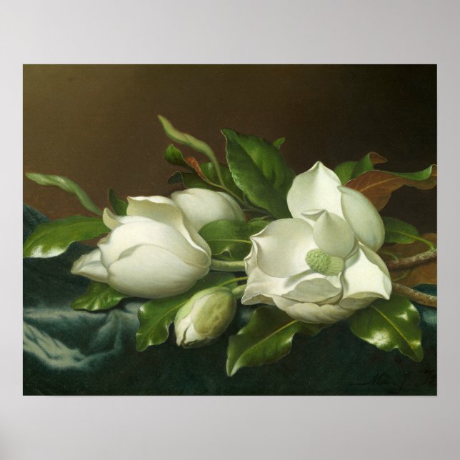Poster Martin Johnson Heade - Magnolias sur le bleu clair (Devant)