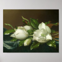 Martin Johnson Heade - Magnolias sur le bleu clair