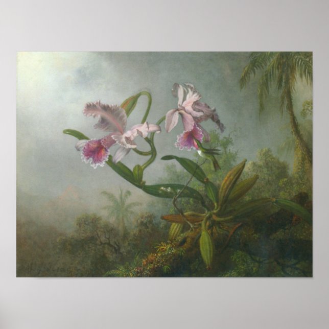 Poster Martin Johnson Heade_Orchidée-colibri (Devant)