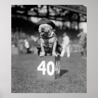 Mascotte des Marines Jiggs : 1923