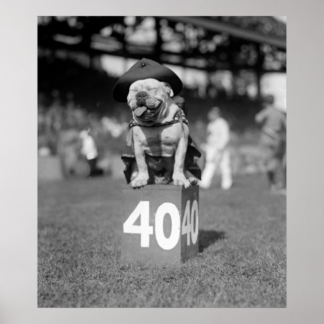 Poster Mascotte des Marines Jiggs : 1923 (Devant)