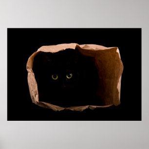 Poster Masquer dans les ombres