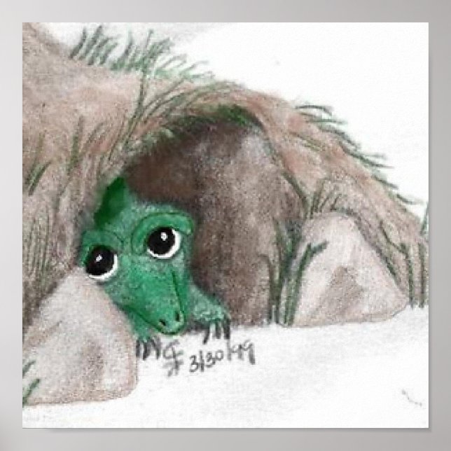 Poster Masquer le dragon (Devant)