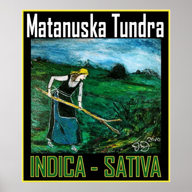 POSTER MATANUSKA TUNDRA INDICA SATIVA (Devant)