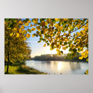 Poster Matin d'automne
