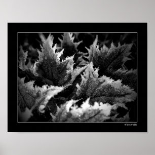 Poster Matin de cristal