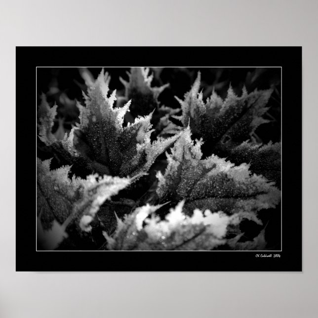 Poster Matin de cristal (Devant)