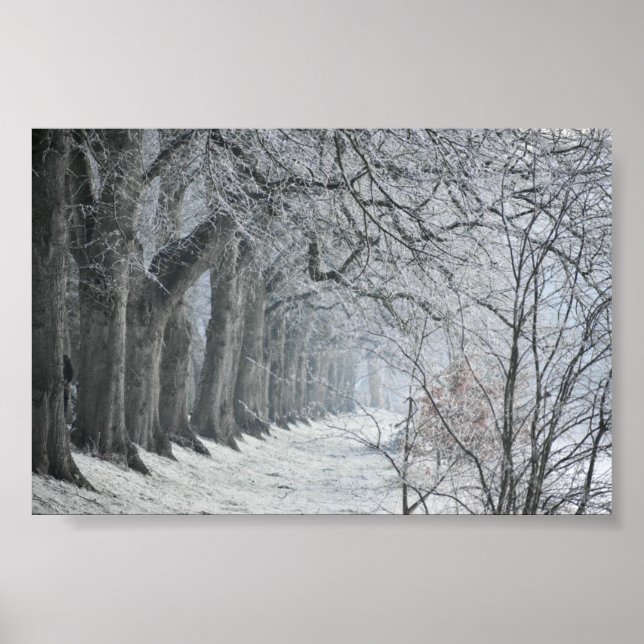 Poster Matin d'hiver (Devant)