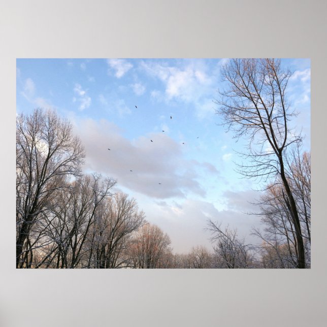 Poster Matin d'hiver I (Devant)