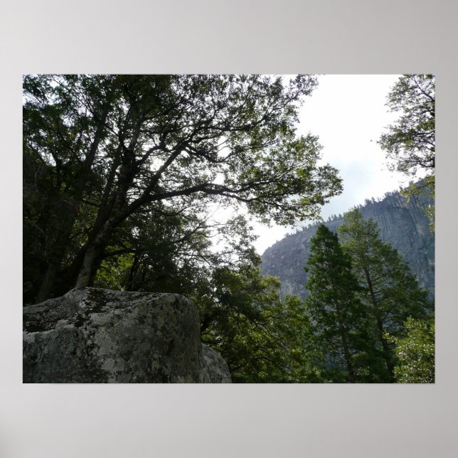 Poster Matin sur le sentier à Vernal Falls à Yosemite (Devant)