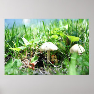 Poster Matroshka dans une patte de champignon