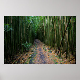 Poster Maui