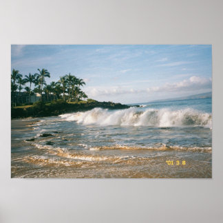 Poster Maui Waves