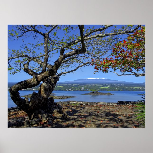 POSTER MAUNA KEA SUR LA BAIE D'HILO (Devant)