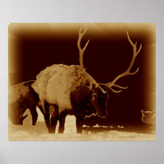 Poster mauvais 2 l'os