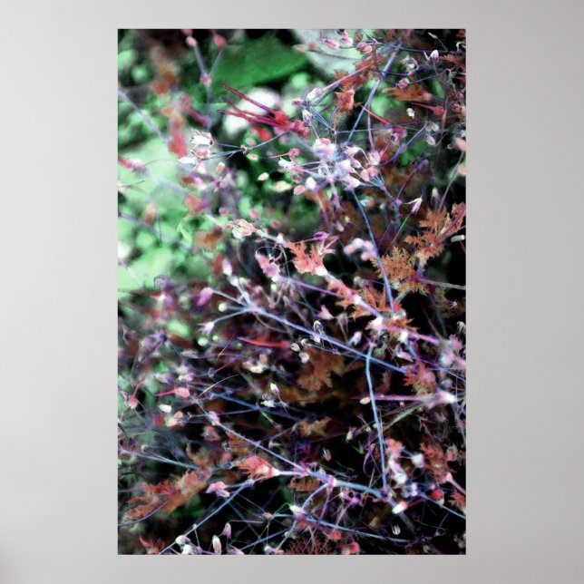 Poster mauvaises herbes en rouge et vert (Devant)
