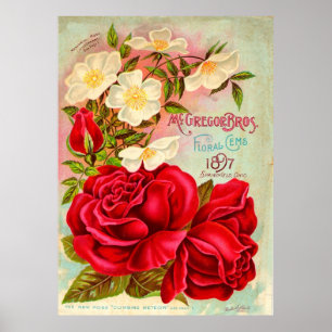 Poster McGregor Bros. Floral Gems Advertisement