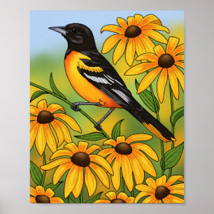 Poster MD State Bird Oriole & Black-eyed Susan Flower