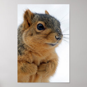 Poster Me Parles-tu ?