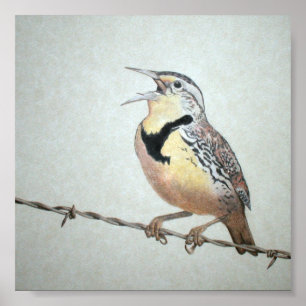 Poster Meadowlark
