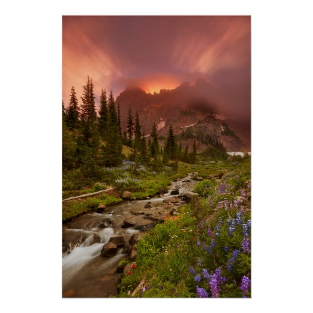 Poster Meadows (Devant)